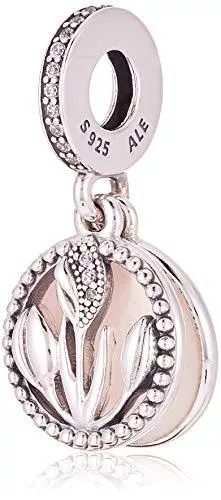 Pandora Schmuck Pandora -Bead Charms 925 Sterlingsilber 797825CZ