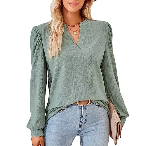 Heersan Langarmblusen Damen Elegant Bluse Langarm T-Shirt Damen V-Ausschnitt Tops Tunika Einfarbig Herbst Blusen Casual Langarmshirt Oberteile Kleidung Frau S-XXL