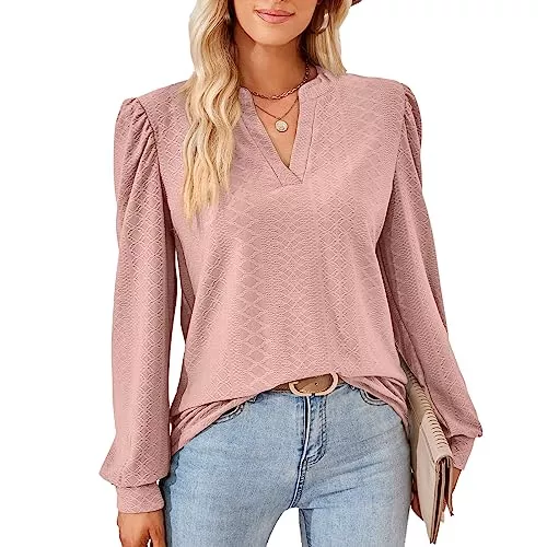Heersan Langarmblusen Damen Elegant Bluse Langarm T-Shirt Damen V-Ausschnitt Tops Tunika Einfarbig Herbst Blusen Casual Langarmshirt Oberteile Kleidung Frau S-XXL